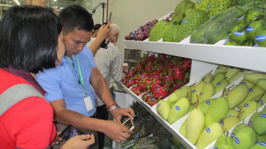Vietnam vows to overcome barriers, conquer Chinese farm produce market