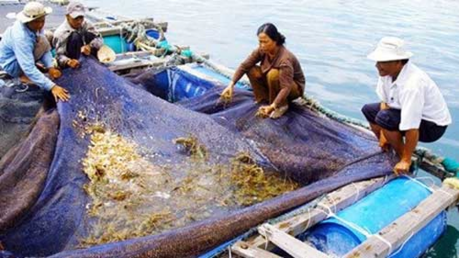 Seminar highlights sustainable lobster farming
