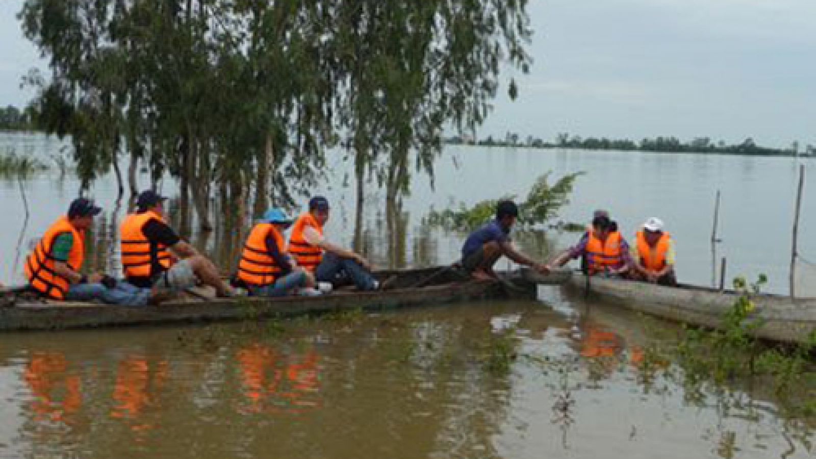 Travel firms shun floating tours in absence of floods in Mekong Delta