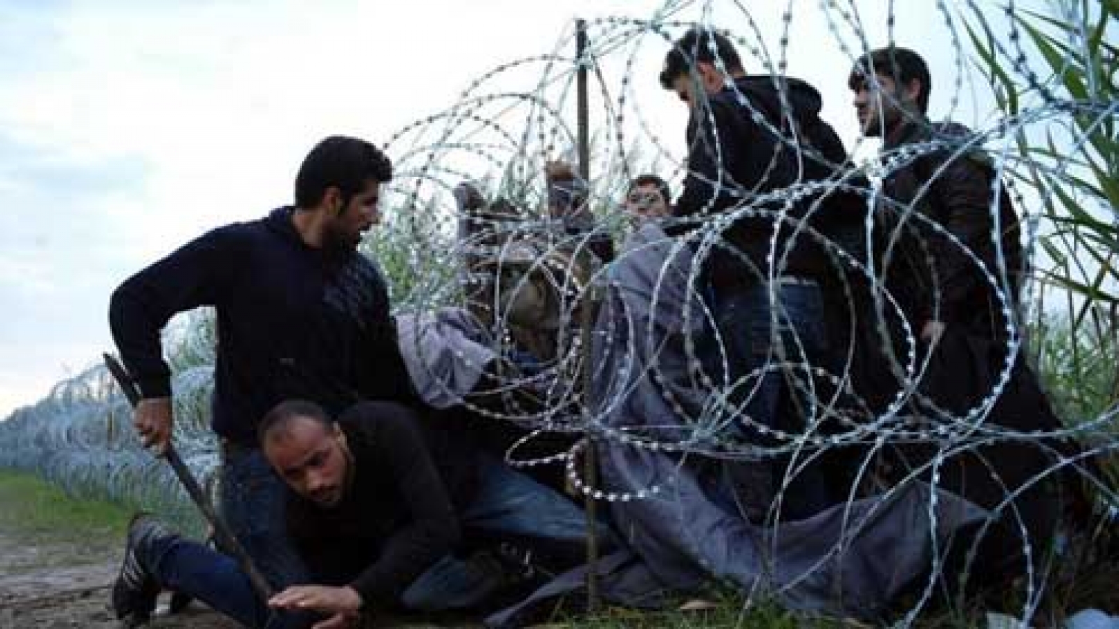 EU faces refugee challenge