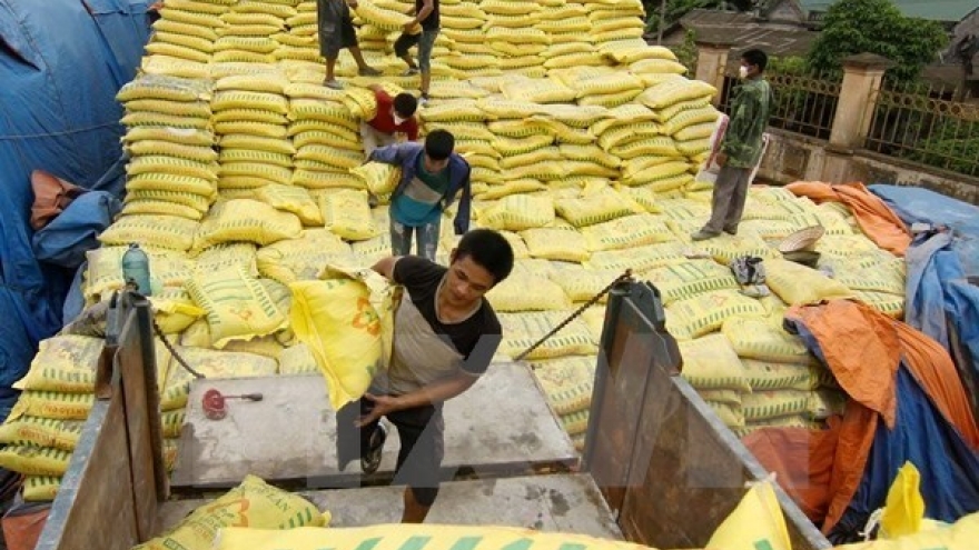 Vietnam imports over 2.4 million tonnes of fertiliser in six months