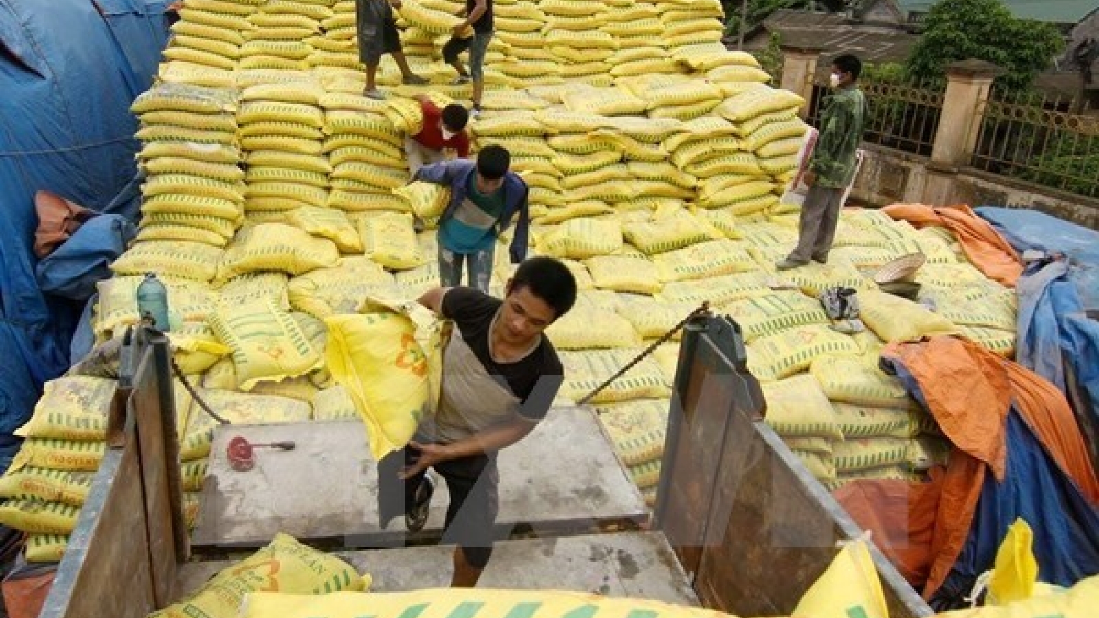 Vietnam imports over 2.4 million tonnes of fertiliser in six months