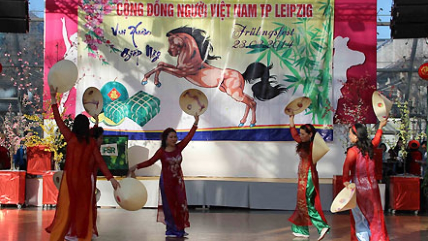 Danang to host Japan-Vietnam show