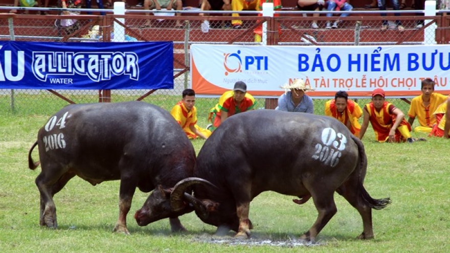 Festivals should stop violence, ministry says