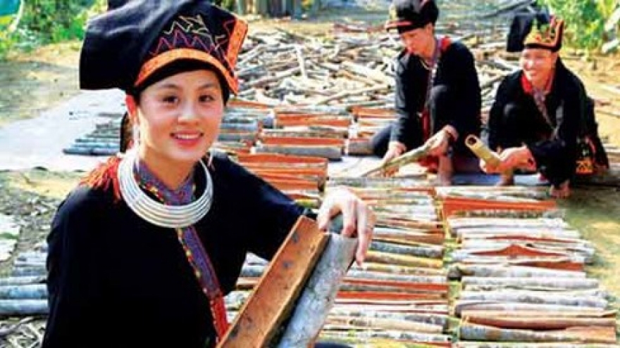 Yen Bai to hold Van Yen cinnamon festival in October