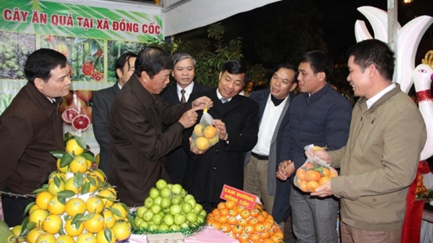 Festival promotes Bac Giang fruit industry