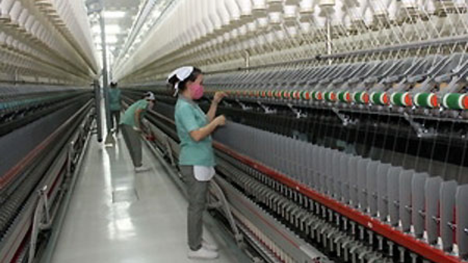 High-quality fibre plant begins operation
