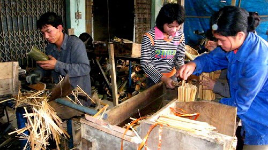 International agencies help Thanh Hoa develop “luong” bamboo