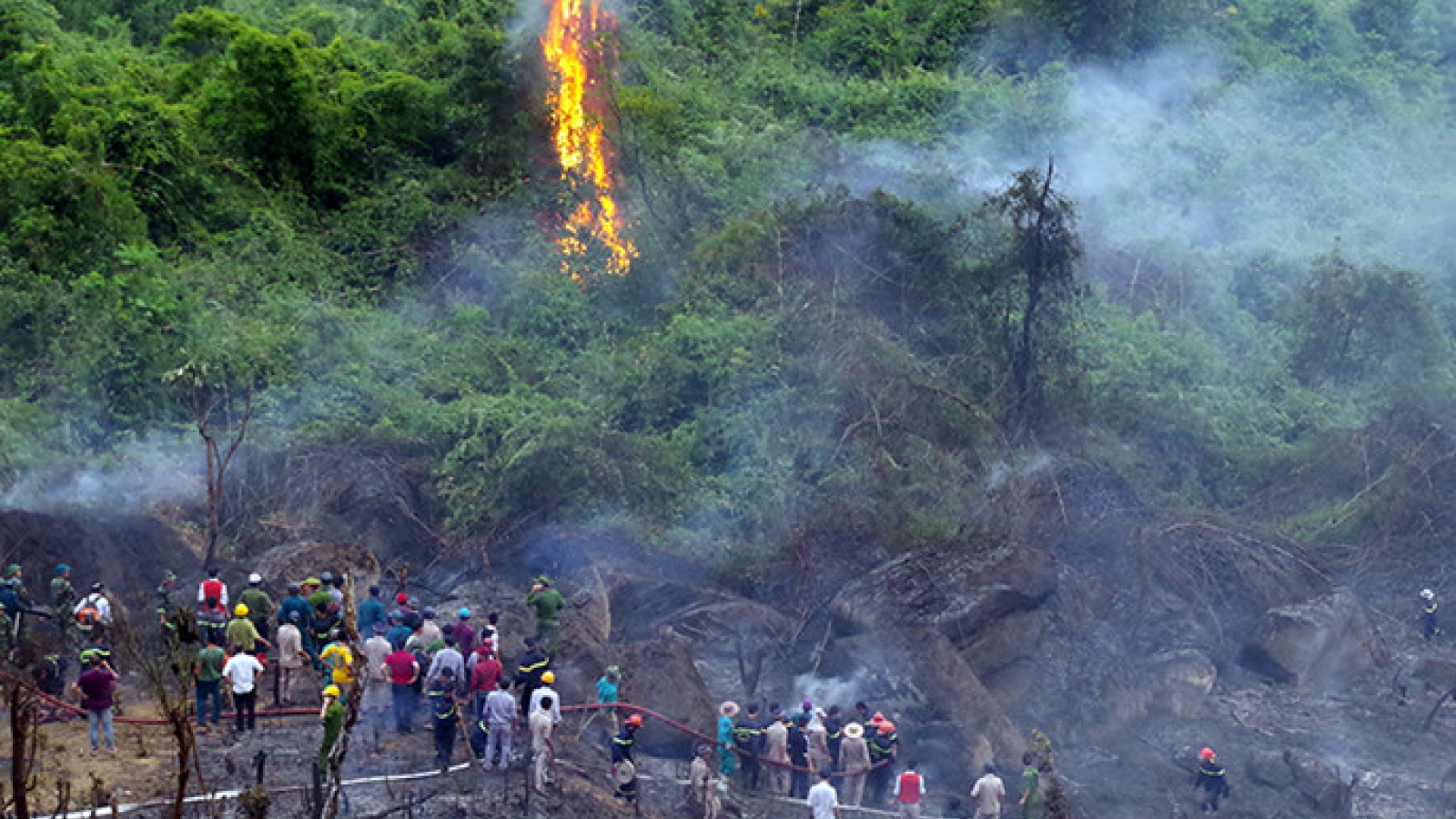 Vietnam wildfire torches 5ha of special-use forest 
