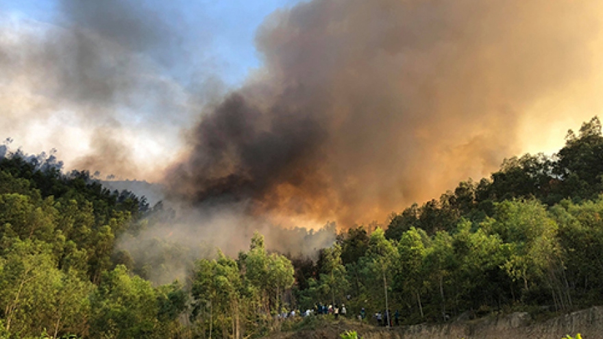 Fire destroys large swathe of forest in Thanh Hoa