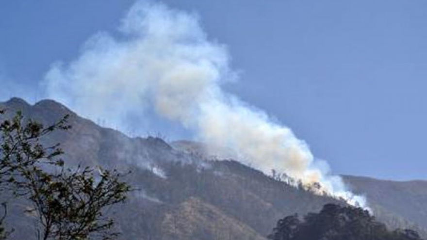 Forest fire breaks out in Hoang Lien Son National Park during Tet