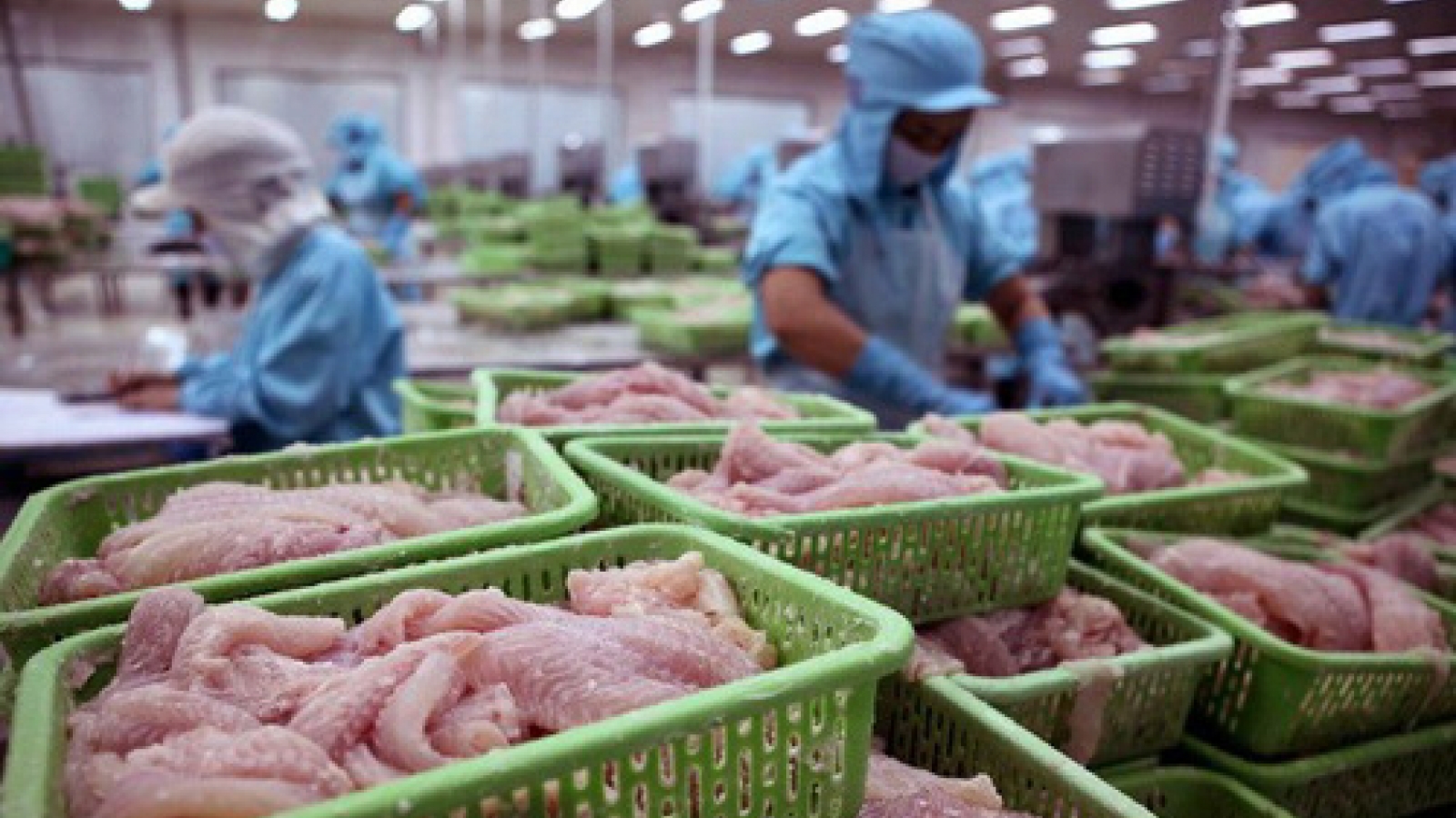 Vietnam ascends to largest fish supplier of Colombia