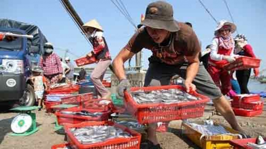 Tests on seafood in central provinces to be announced early next month
