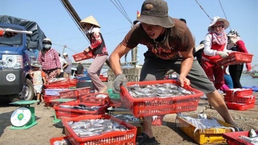 Vietnam’s reserves of sea fish close to 4.2 million tonnes
