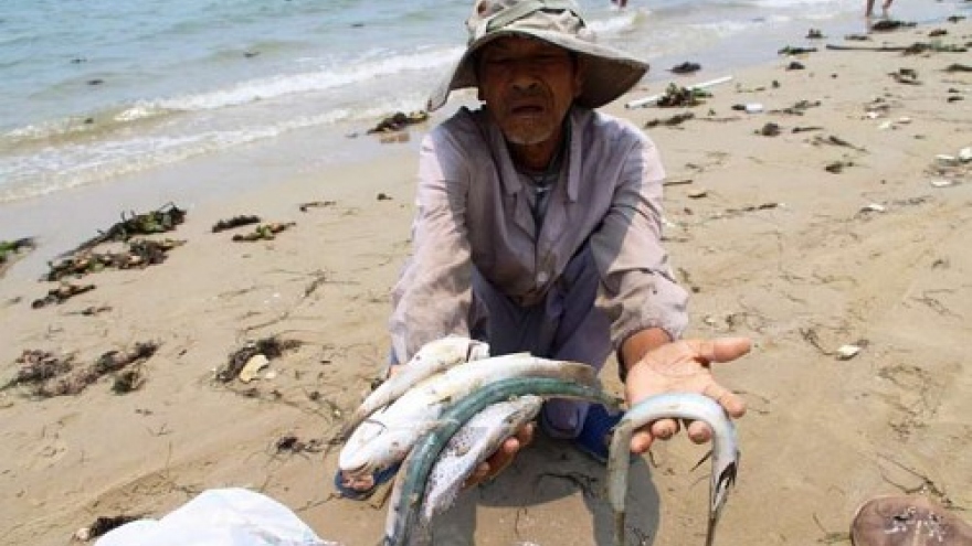 
        Taiwan's Formosa under fire over Vietnam mass fish deaths
                              