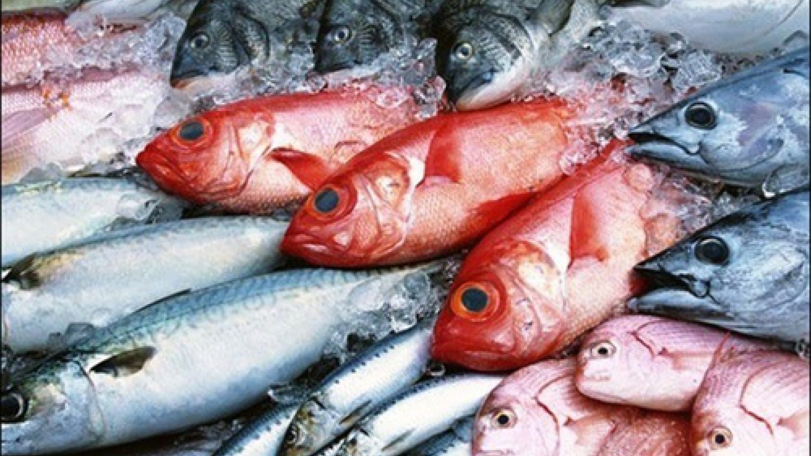 Government to pay for Formosa-polluted frozen fish