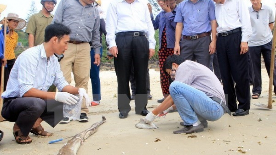 
        Deputy Minister: cause of unusual fish deaths to be announced
                              