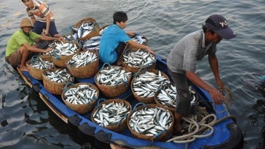 Cooperation in East Sea fisheries management, environmental protection