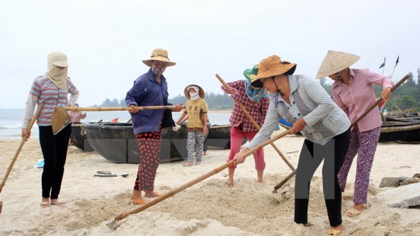 Deputy PM inspects damages from mass fish deaths in Quang Tri