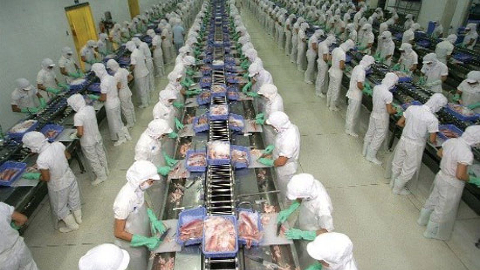 New Trump budget abolishes USDA catfish inspection program