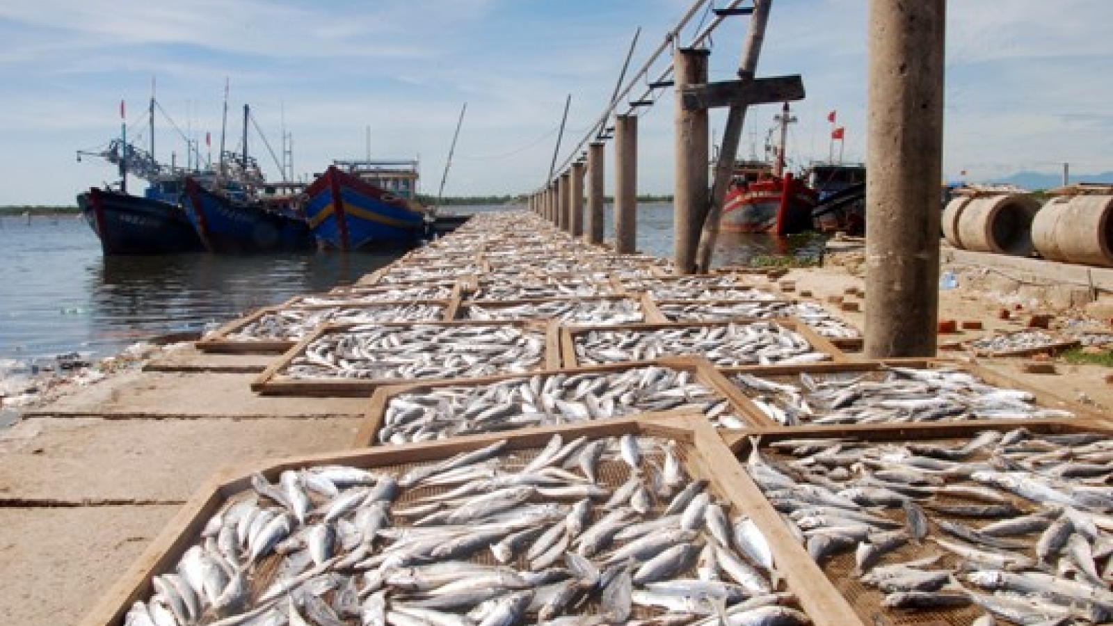 Fish from Formosa-contaminated waters being tested for safety