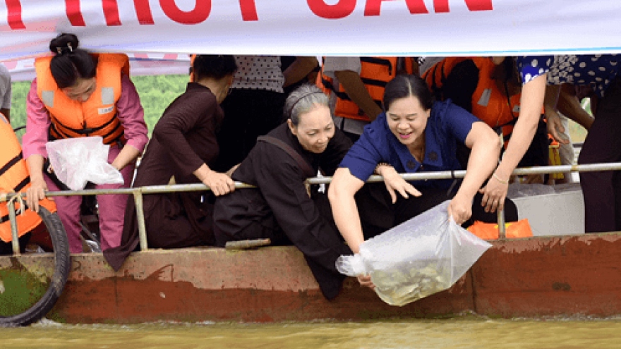 Mass fish release on Lo River on Vu Lan fest