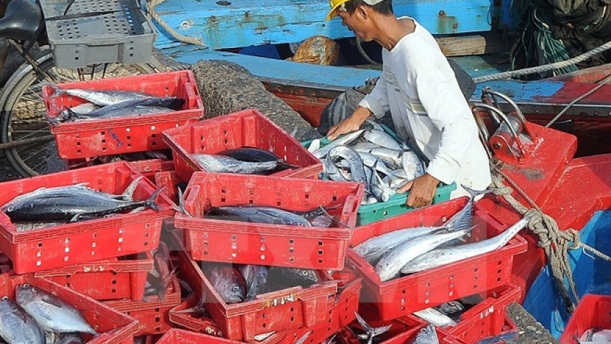 Constant supervision needed in fish death-related compensation