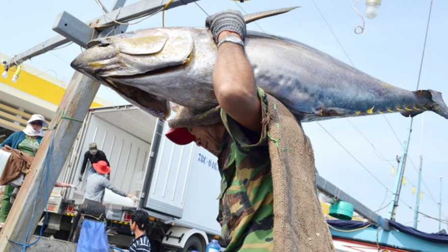Vietnam’s seafood industry reacts to ‘yellow card’ from EU
