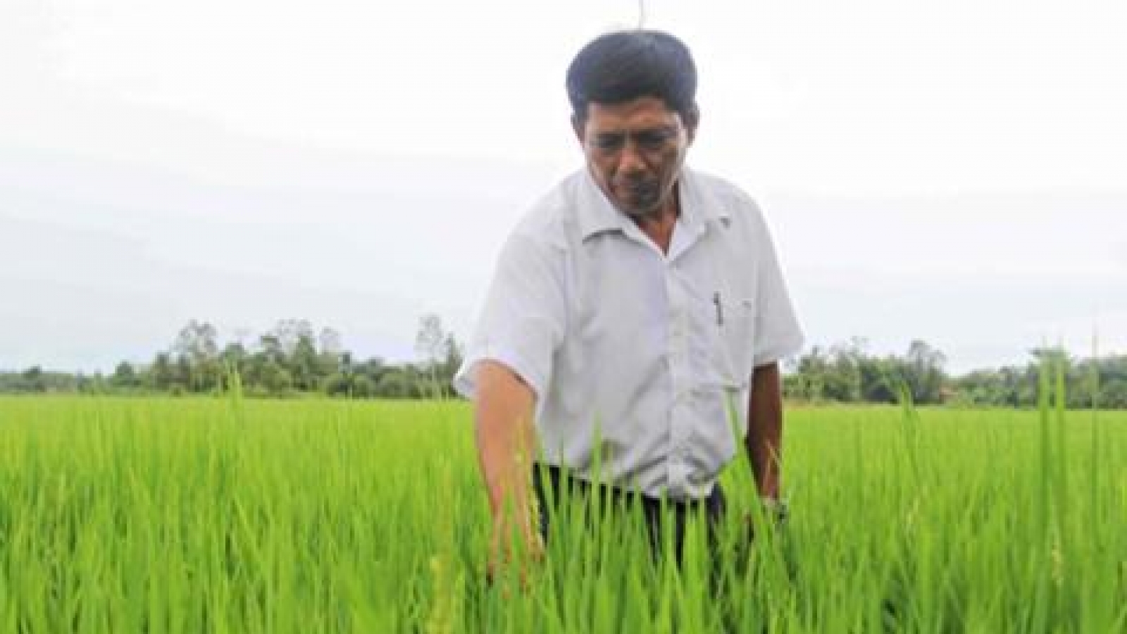 Vietnam tries to export more workers