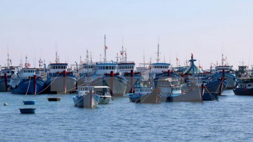 Island fishermen reap profits from decree on fishing development