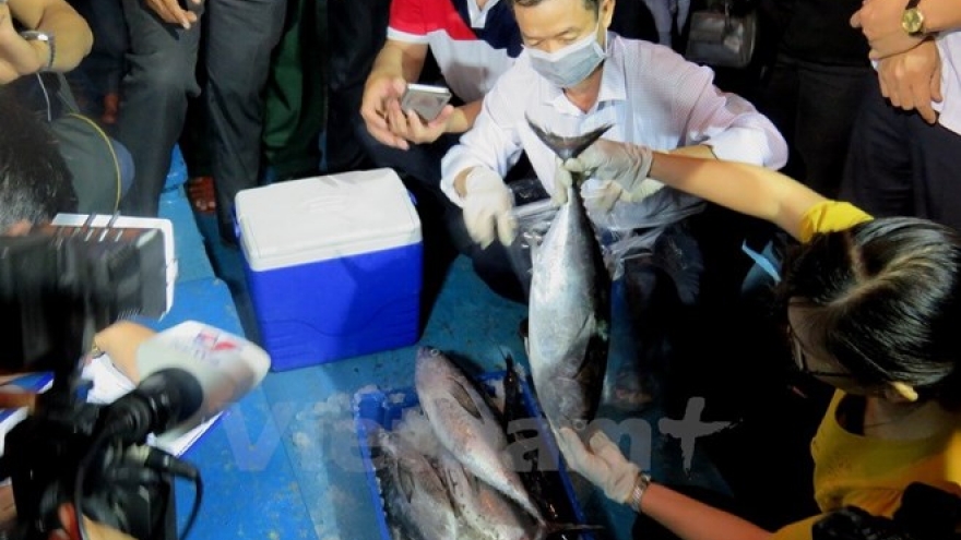 Misfortunate fishermen in Phu Yen receive support