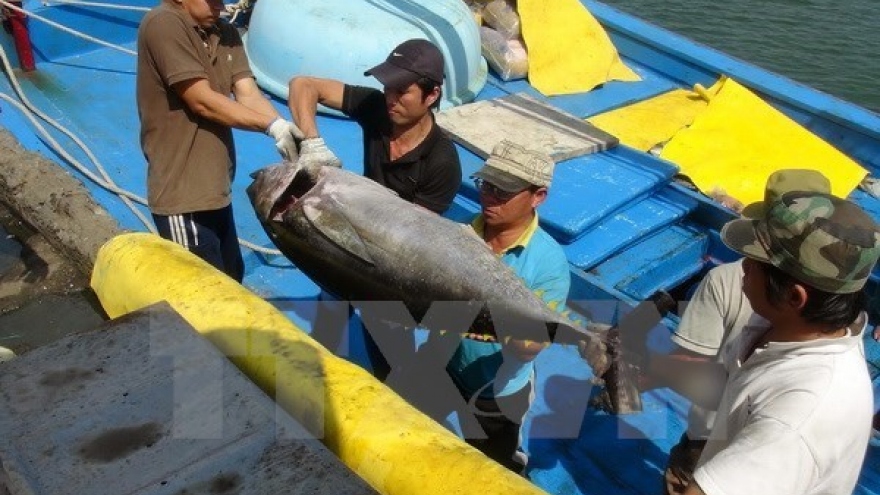 Cooperative groups connect fishermen at sea