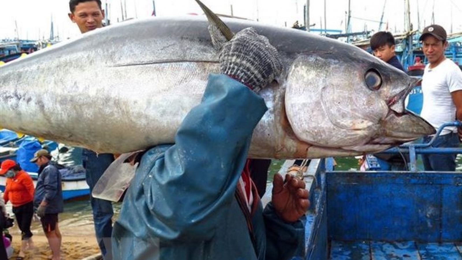 Personnel training – key to marine economy sustainably