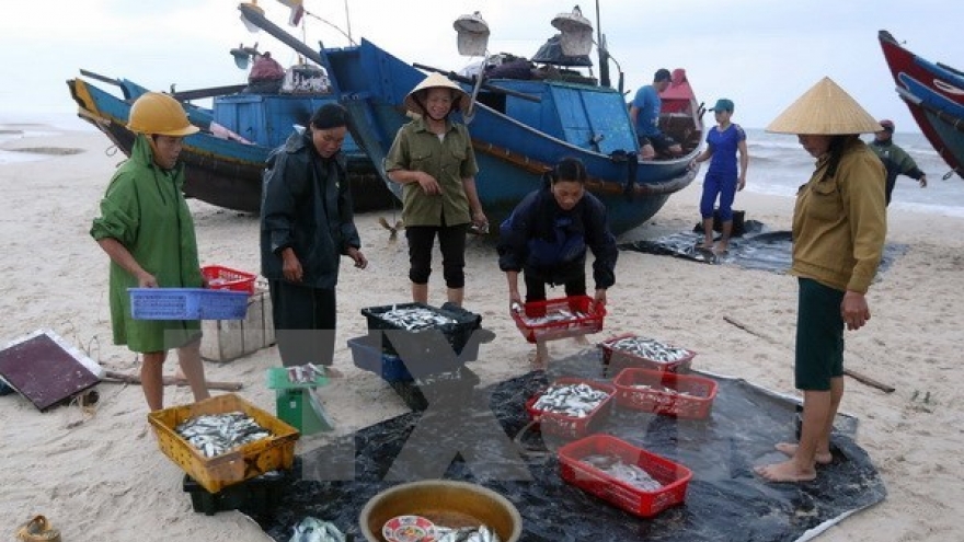 MARD: Marine environment in central region becomes stable