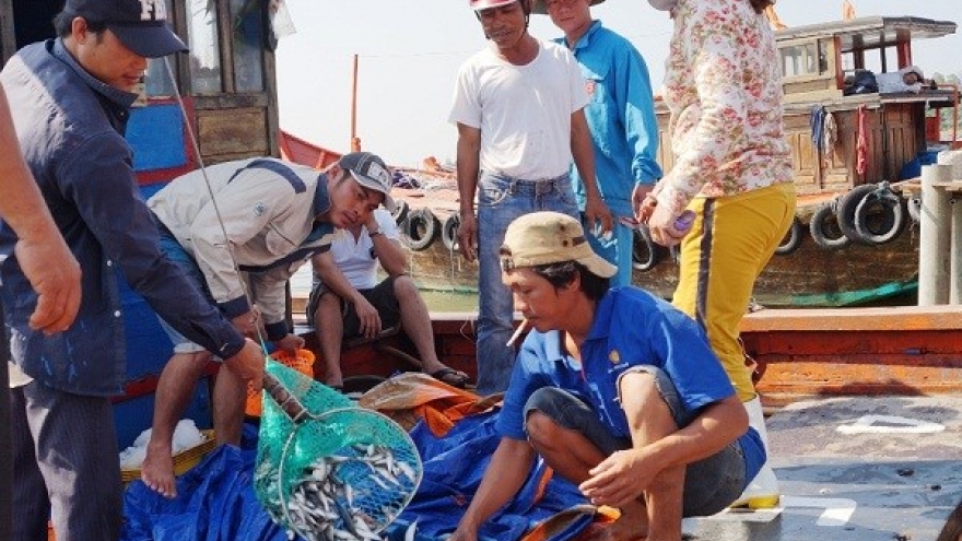 Da Nang increases trace of fishery origins
