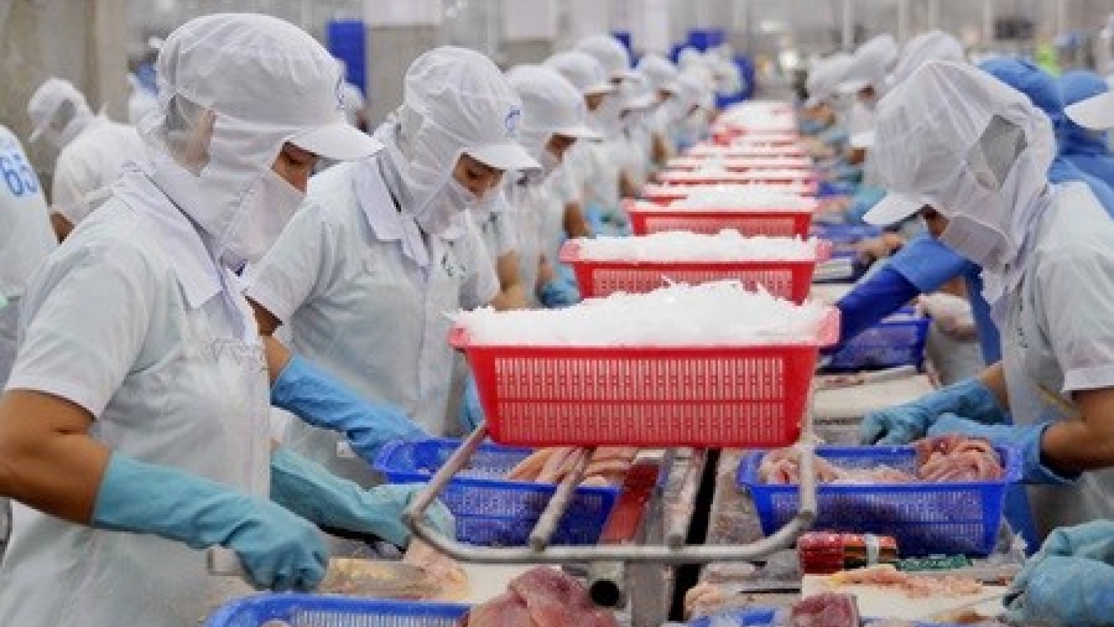 Fishery and farm exporters urged to study EU regulations