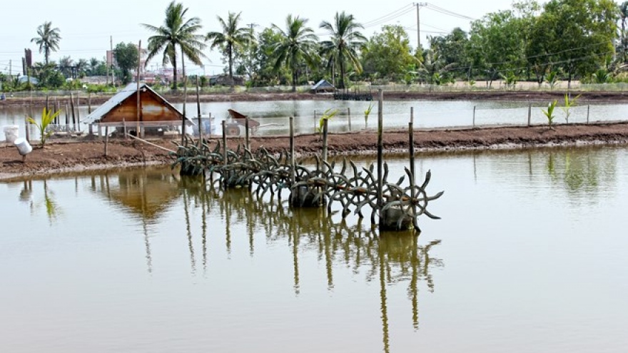 
        Ca Mau looks at ways to support local fishery
                              