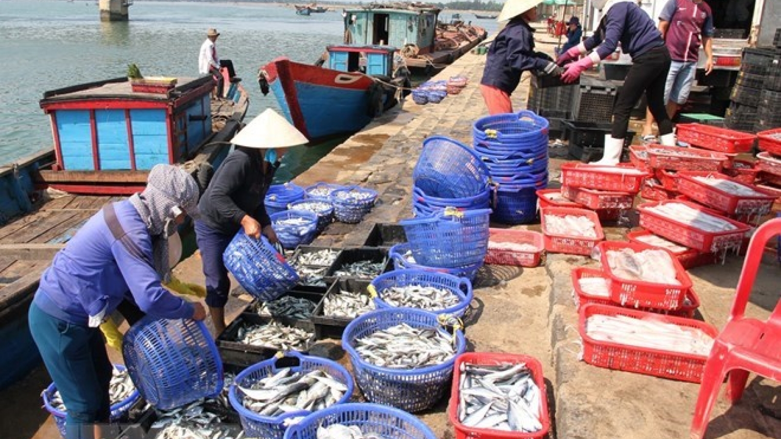 Agro-forestry-fishery posts highest GDP growth in decade