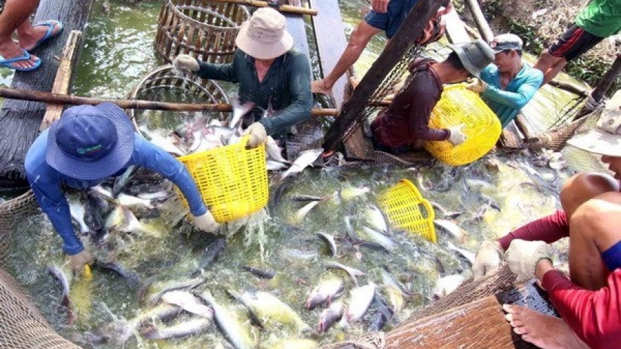 Agro-forestry-fishery exports hit US$22.2 billion in first seven months
