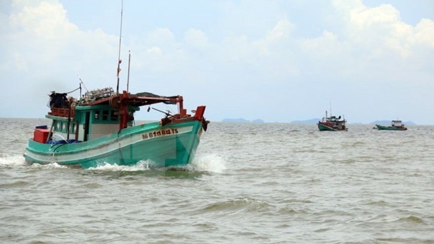 Vietnam strongly protests use of force against Vietnamese fishermen
