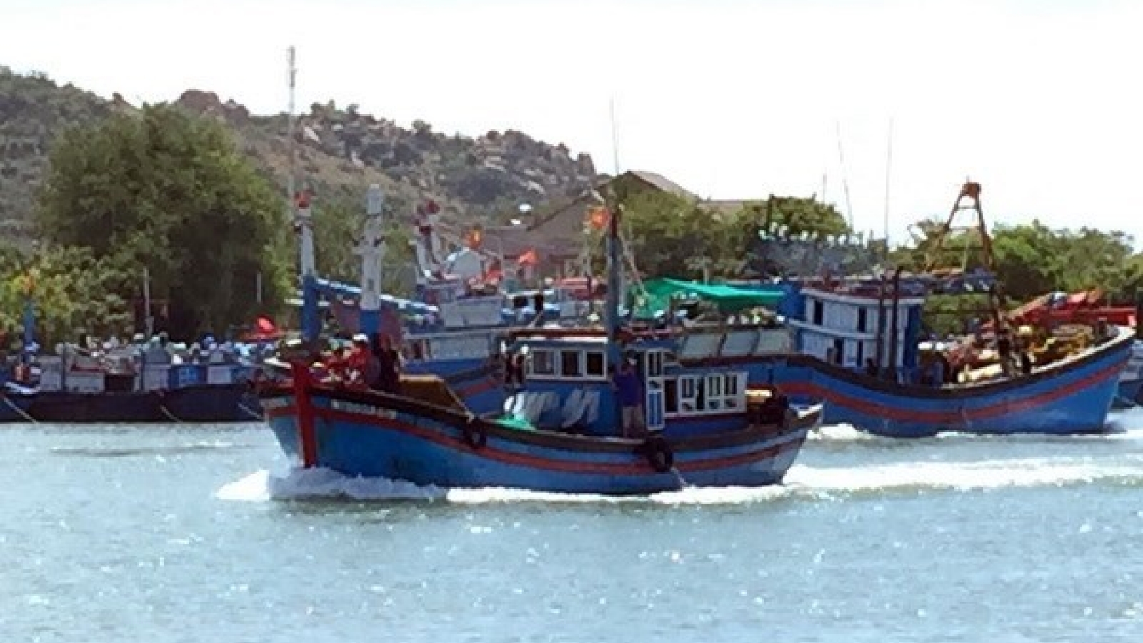 VINAFIS opposes China’s unilateral fishing ban in East Sea