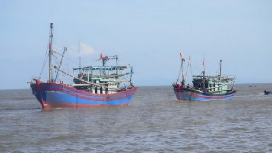 
        PM orders urgent actions to curb illegal fishing
                              