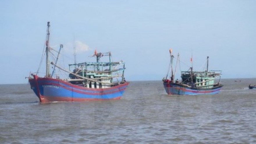 PM orders urgent actions to curb illegal fishing