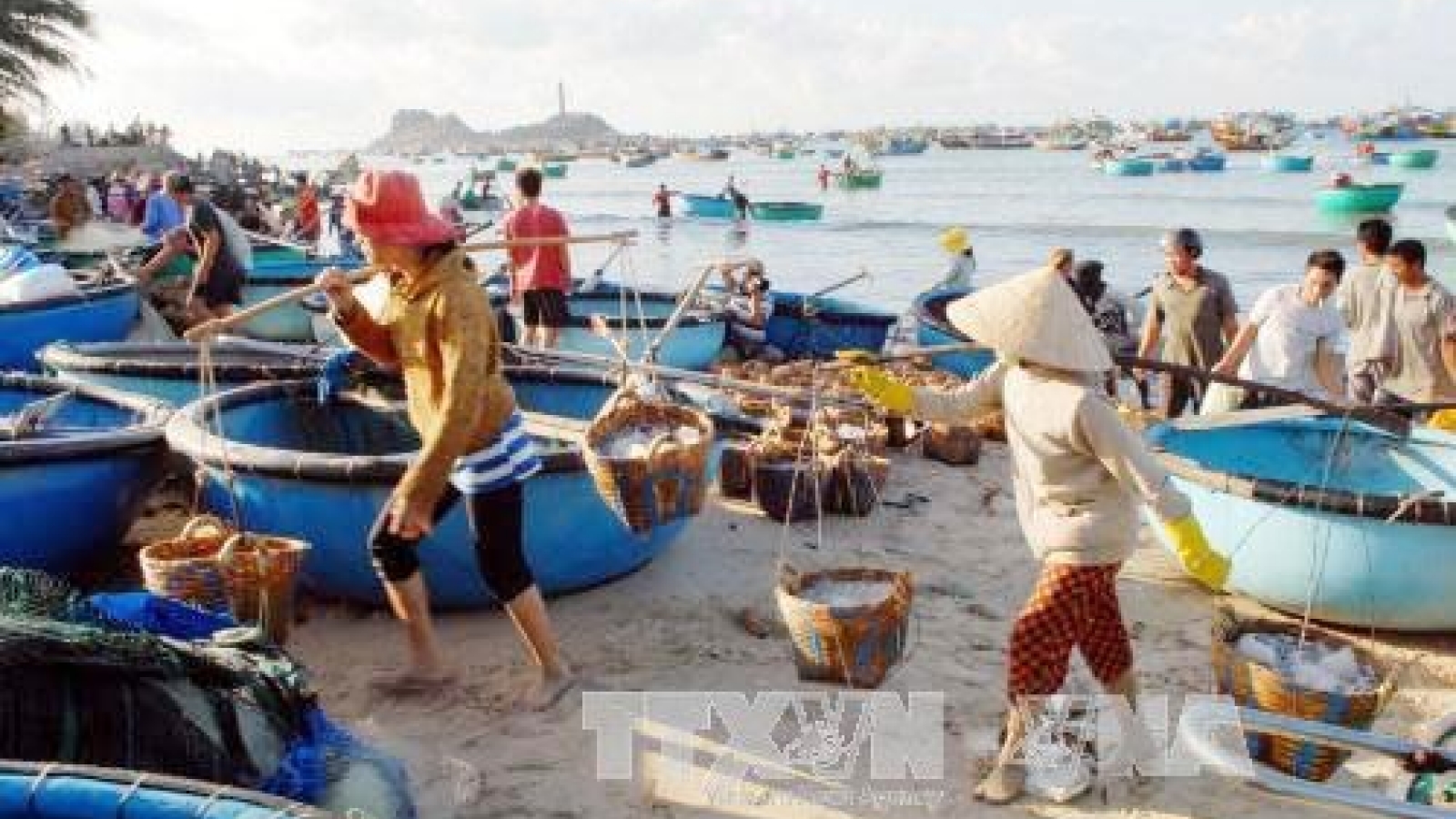 Ecosystem in environmental incident-affected provinces recovers