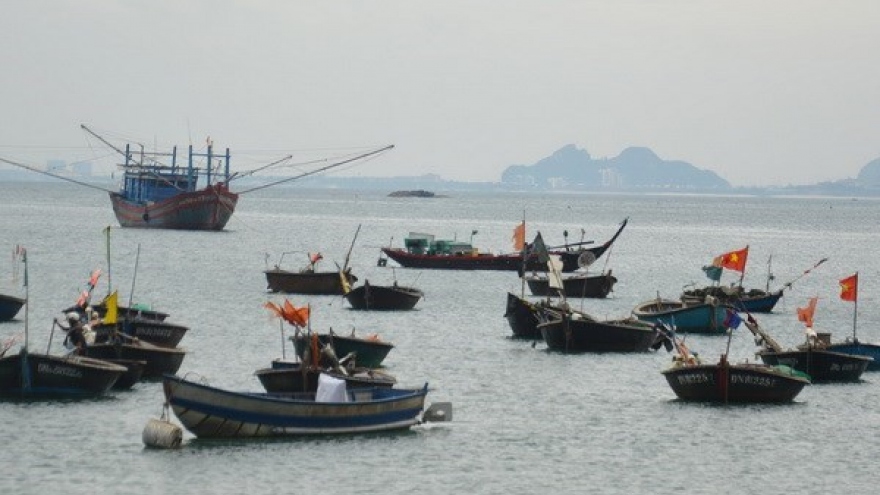 Dialogue seeks to promote fishery cooperation in East Sea