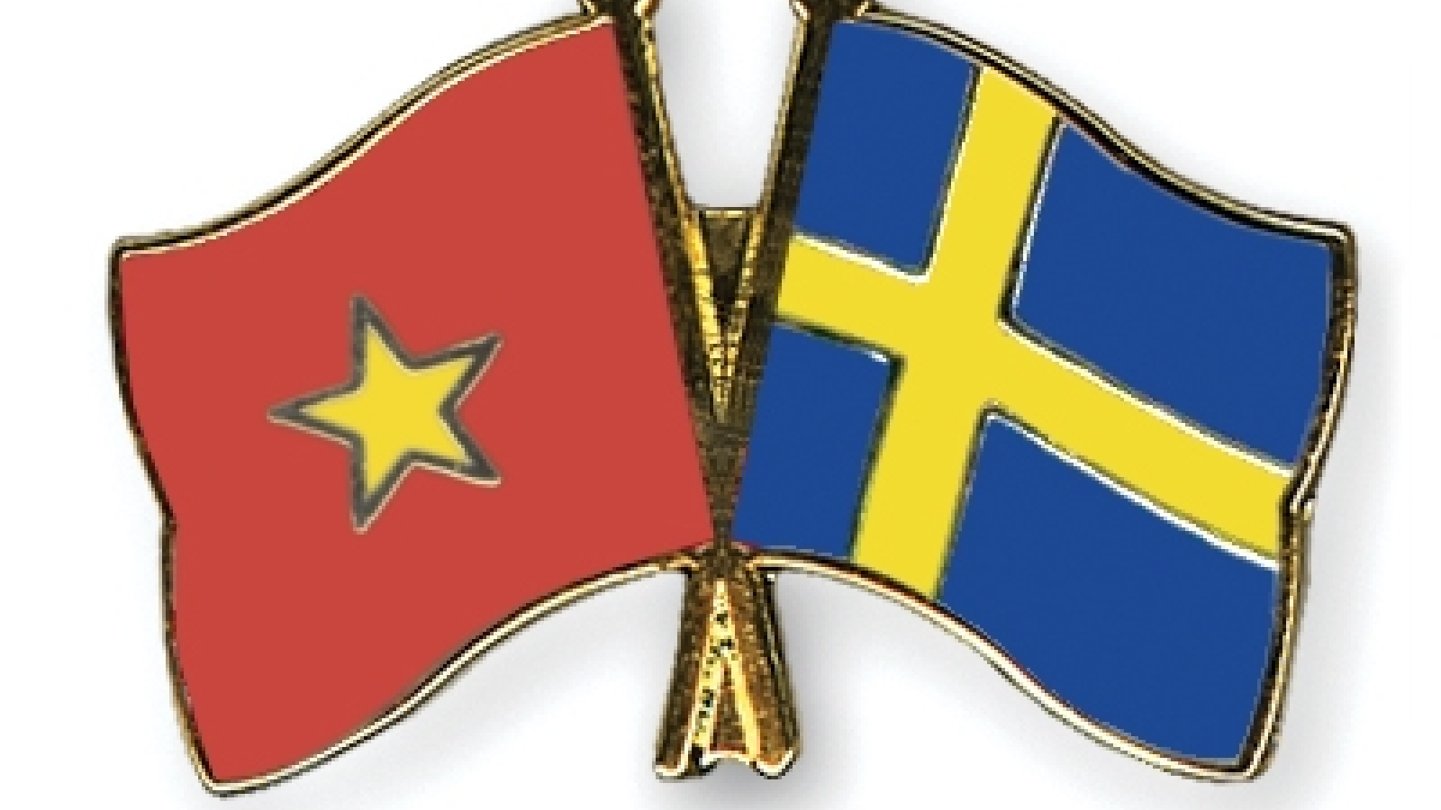 Senior leaders exchange greetings on 50 years of Vietnam-Sweden ties