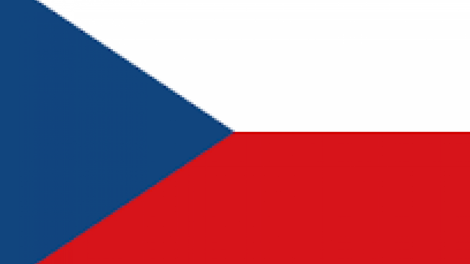 Czech Republic’s National Day celebrated in HCM City