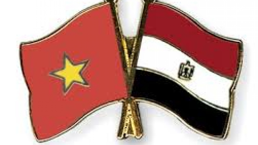 Congratulations on 55th anniversary of Vietnam-Egypt diplomatic ties