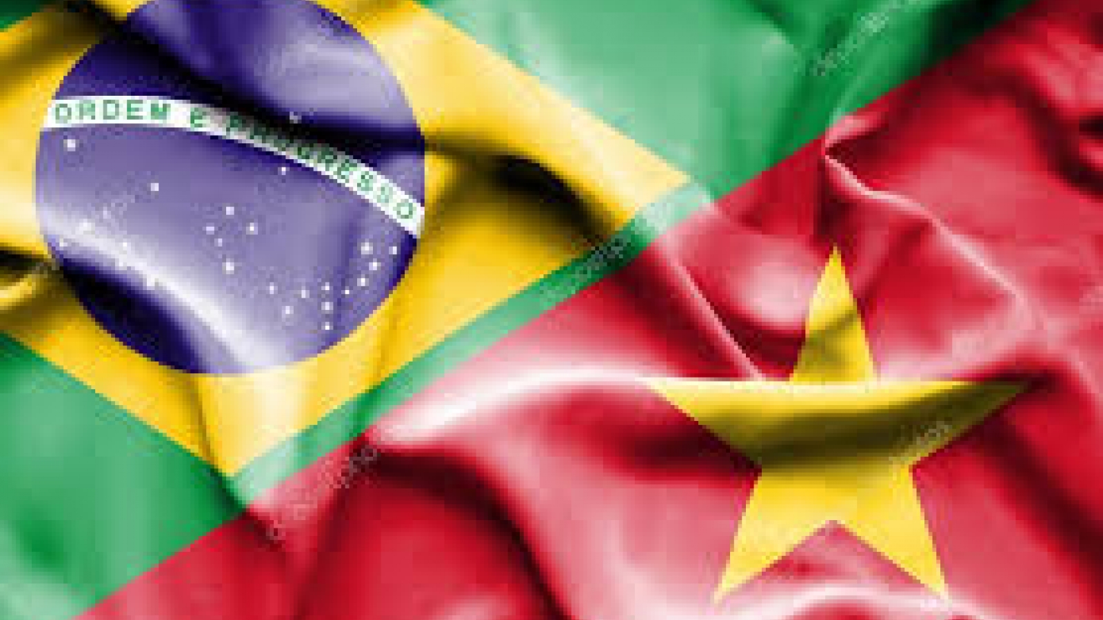 Vietnam, Brazil hold political consultation