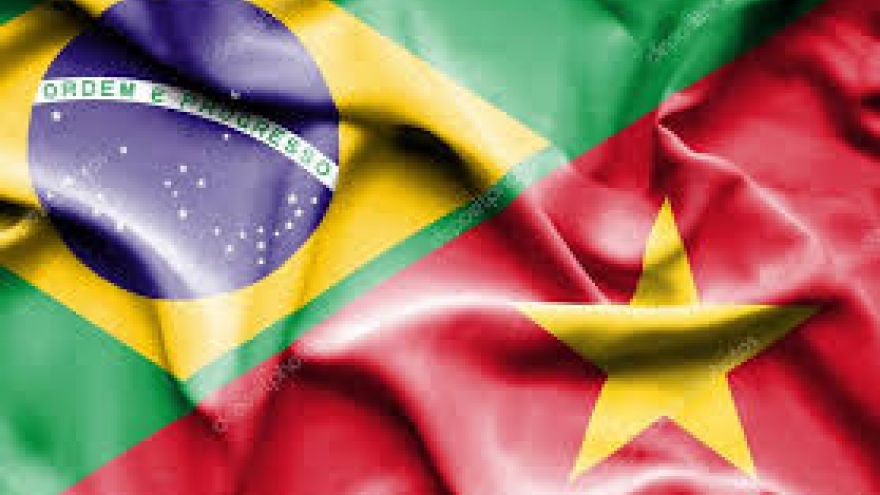 Vietnam, Brazil hold political consultation